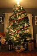 Christmas Tree Decorating Ideas