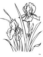 Black and white drawing with the flowers and gras clipart