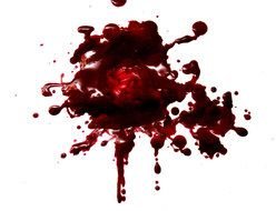 bloody splash on a white background