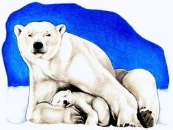 polar bear with cub as a graphic illustration