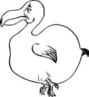 Dodo Bird Outline