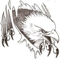 Native American Eagle Feather Drawings N2