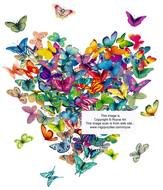 Butterfly And Heart Clip Art N2