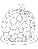 Sugar Apple Coloring Pages drawing