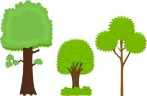 Different cartoon trees clipart