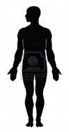 Human Body Silhouette Clip Art drawing