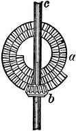 Scroll Wheel drawing