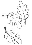 Oak Leaves Clip Art Black And White drawing