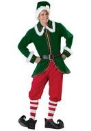 man in elf costume on a white background