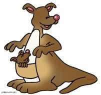 Preschool Kangaroo Clip Art