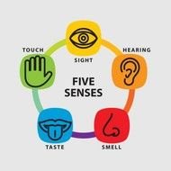 Five Senses N2