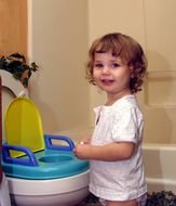 Toddler Girl And Potty