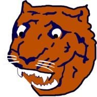 Detroit Tigers Logo N20