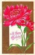 Vintage Happy Birthday card drawing