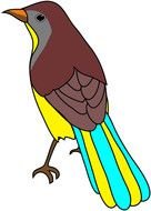 color Cool bird darwing