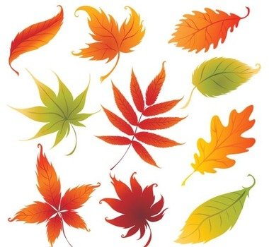 Free Downloads Vector Graphics N4