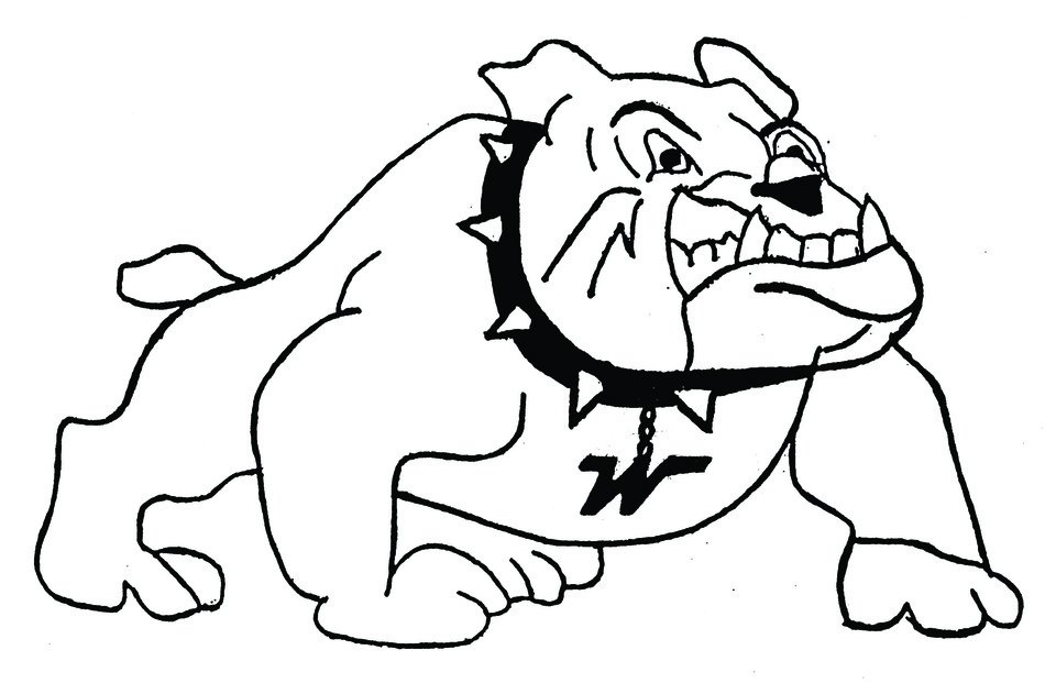 big dog drawing