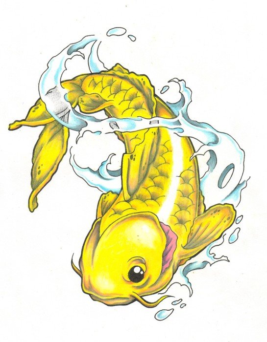 Koi Fish Tattoo clipart