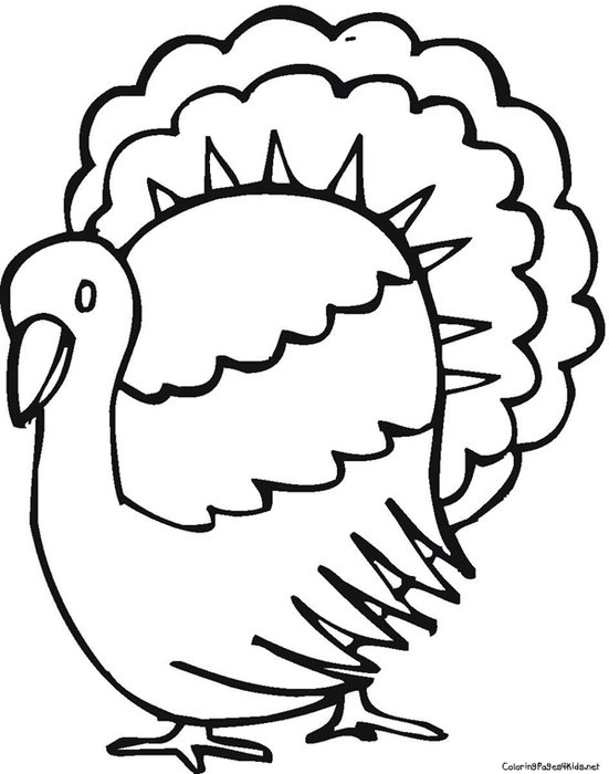 Turkey Coloring Pages For Kids