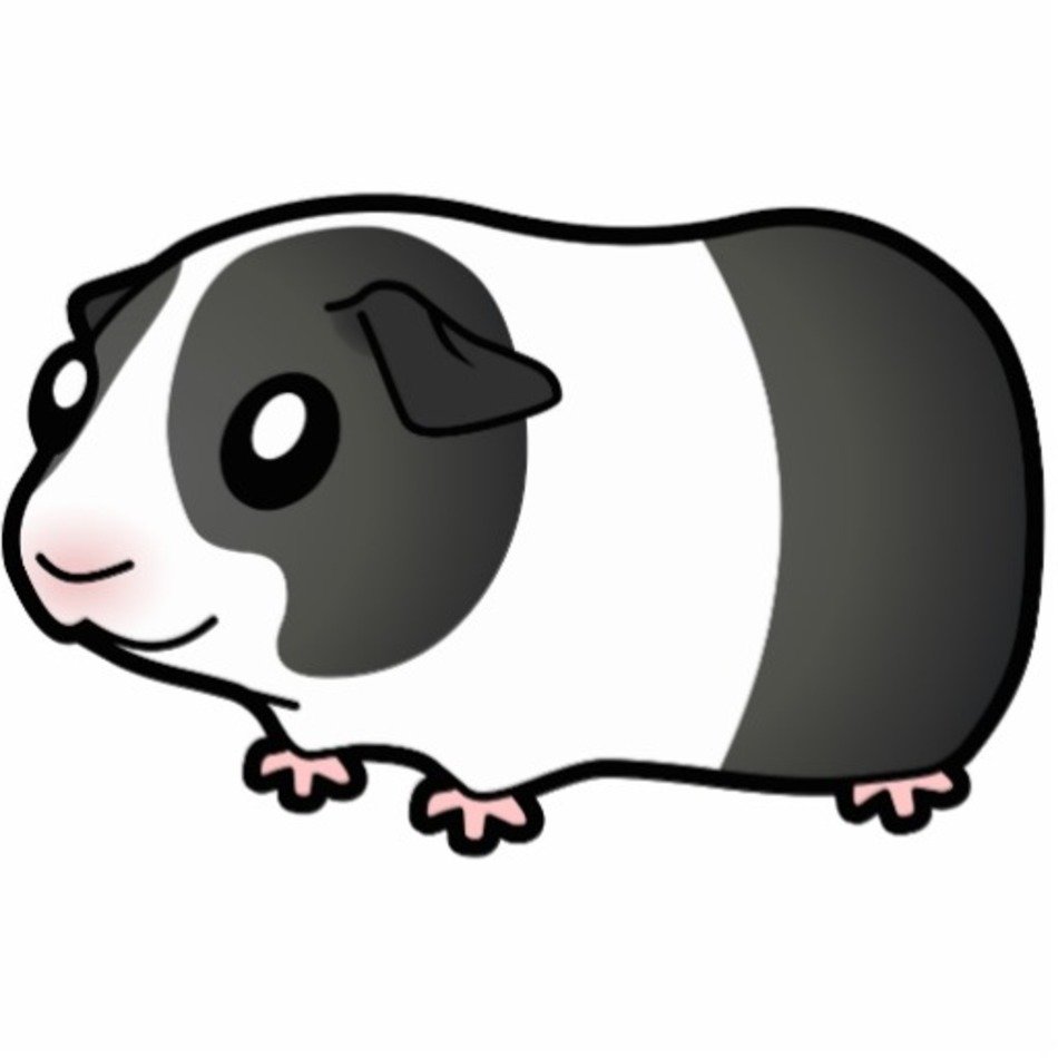 Cartoon Guinea Pig N3