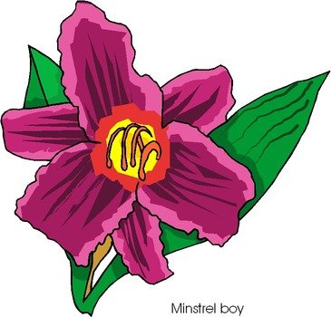 Microsoft Free Clip Art Flowers N17
