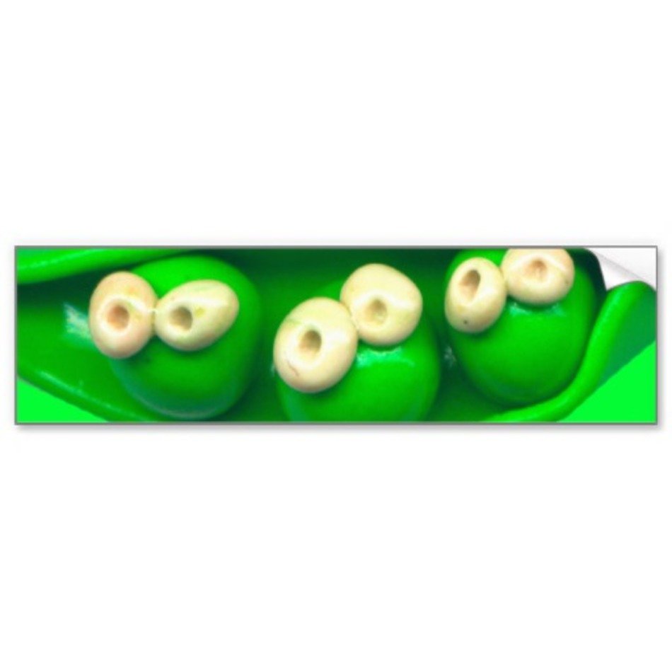 Two Peas Pod Cartoon