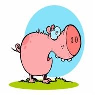 Funny Fat Pigs