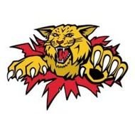 Wildcat Logo Clip Art Free