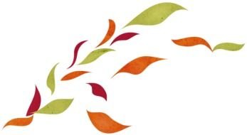 Autumn Leaf green red orange drawing