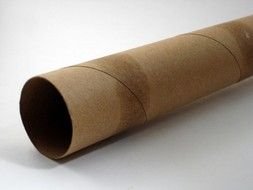 Paper Towel Roll as a picture for a clipart