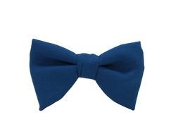 blue bow tie as picture for clipart