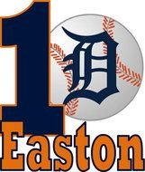 Detroit Tigers Iron On Appliques