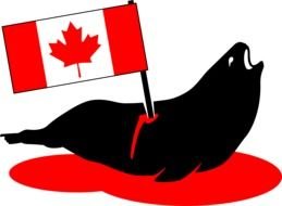 seal in hunt canada as a graphic illustration