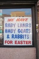 easter meals, advertising on window