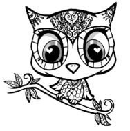 Owl Coloring Page N4