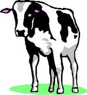 big Cow Clip Art drawing