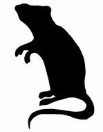 silhouette of a rat