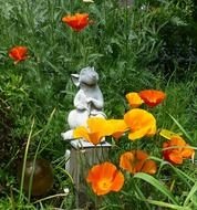 Gartendeko Gardener Gold Poppy Free Image On Pixabay 552859