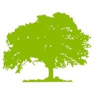 Oak Tree Silhouette Vector drawing