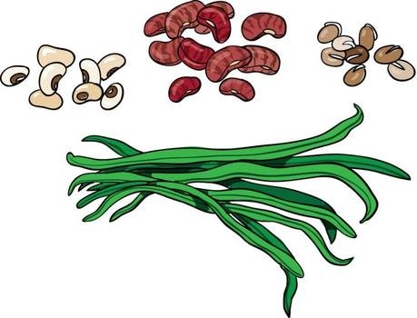 Healthy Food Clip Art N60