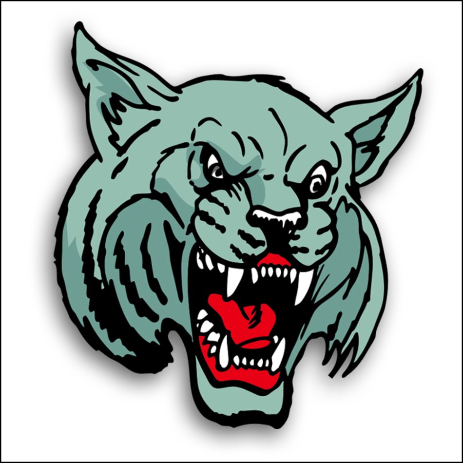 Wildcat Head Clip Art N5