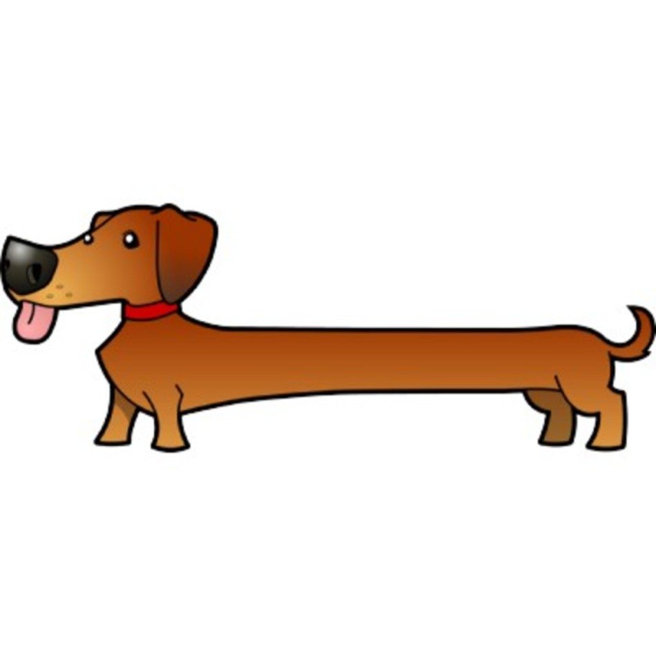 Dachshund Cartoon Clip Art N6