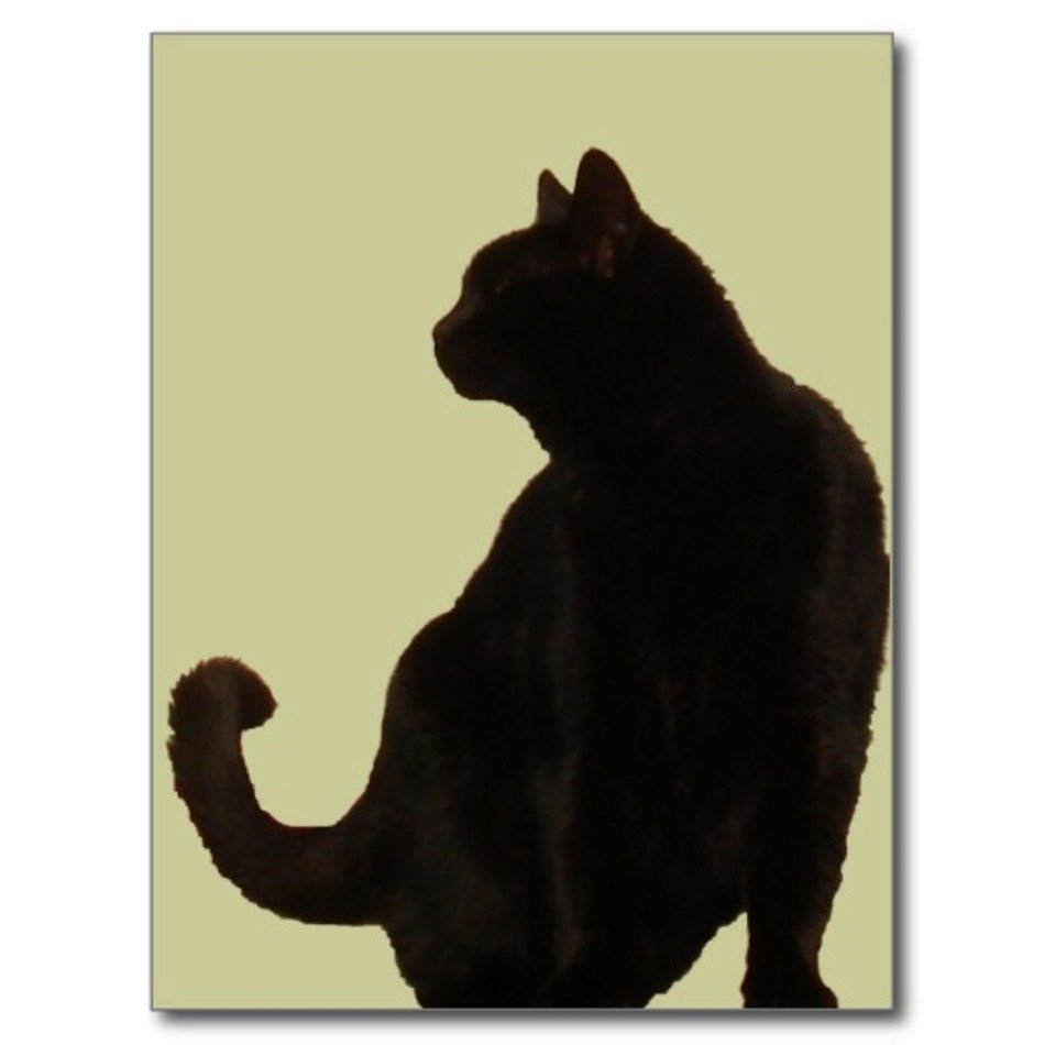 Halloween Black Cat Silhouette N2