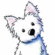 West Highland Terrier Westie