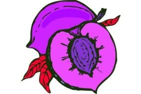 Fruit Cut In Half Clip Art