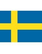 Flag Of Sweden drawing