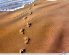 Footprints In The Sand Jesus N3