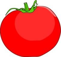 Tomato Slice Clip Art N9