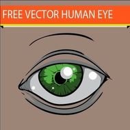 Human Eye Clip Art Free N2