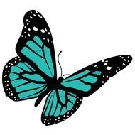 Teal Butterfly Clip Art drawing